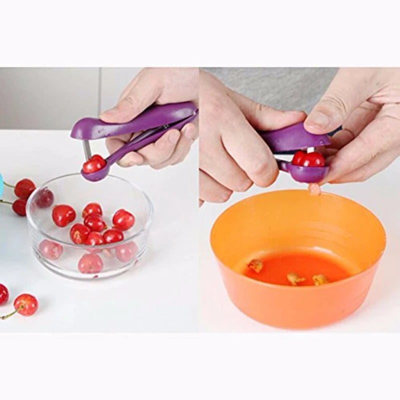cherry and olive pit remover