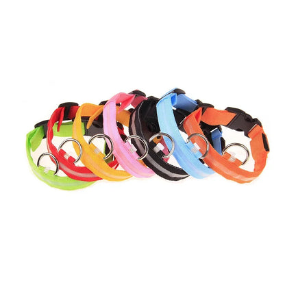 LED Luminous Dog Leash & Collar – Night Safety Nylon Pet Leash with Glow Light