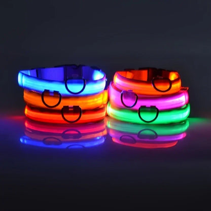 LED Luminous Dog Leash & Collar – Night Safety Nylon Pet Leash with Glow Light
