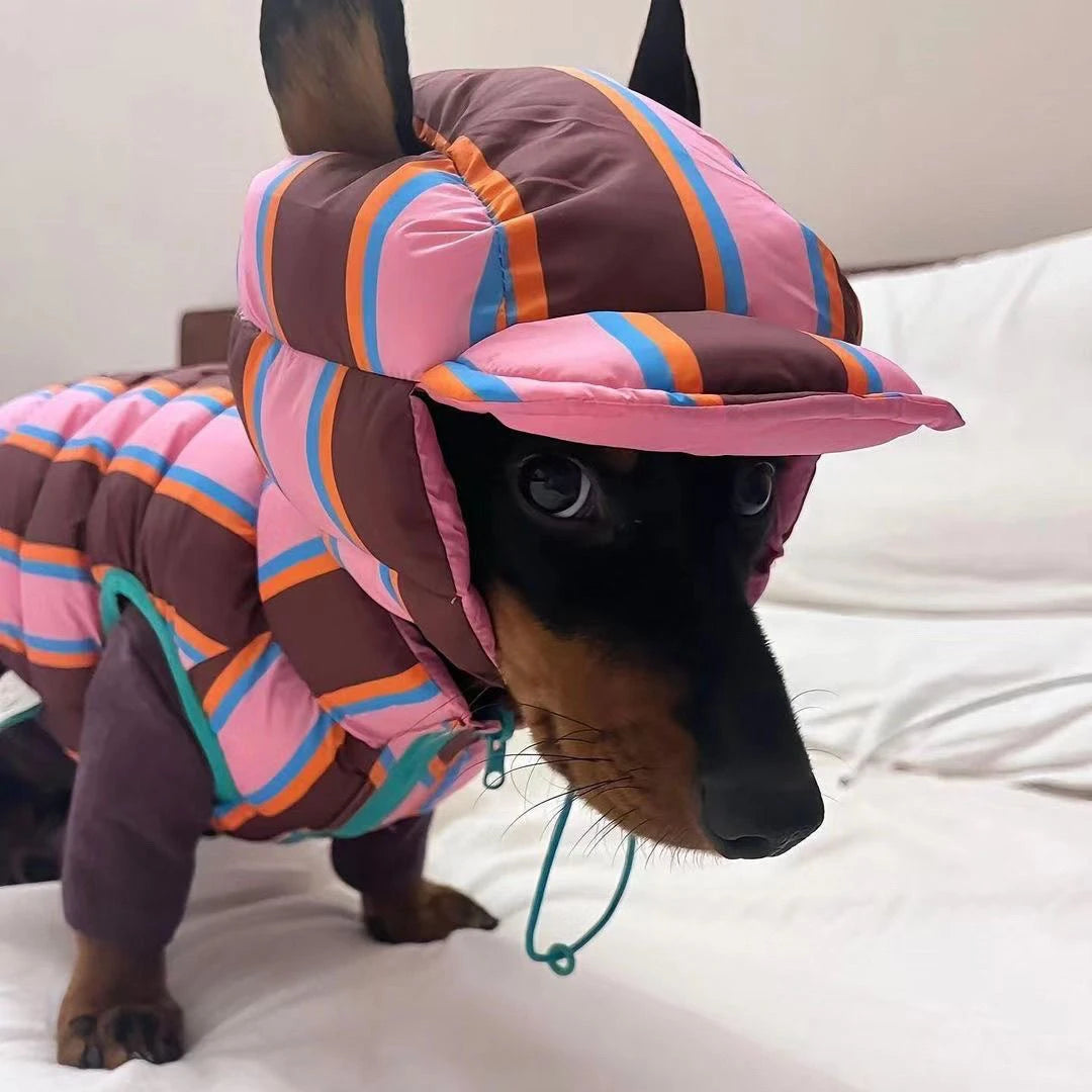 Winter Warm Dog Cotton Coat For Small Medium Puppy Bicho
