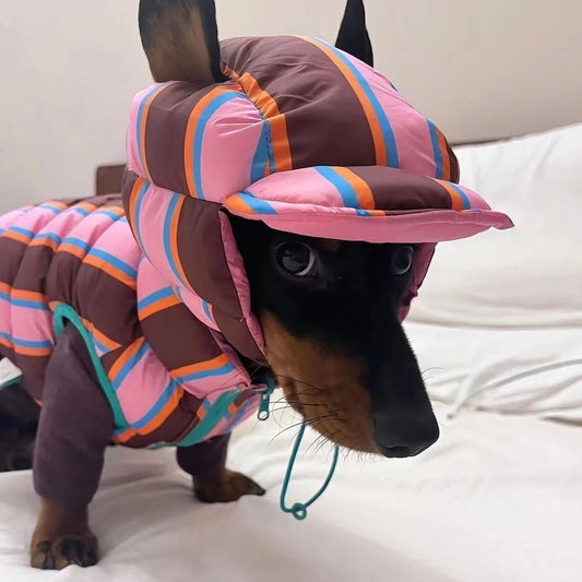 Winter Warm Dog Cotton Coat For Small Medium Puppy Bicho