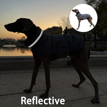 Waterproof & Warm Winter Jacket for Dogs & Cats - Insulated Down Vest - BeeTrendyShop.COM
