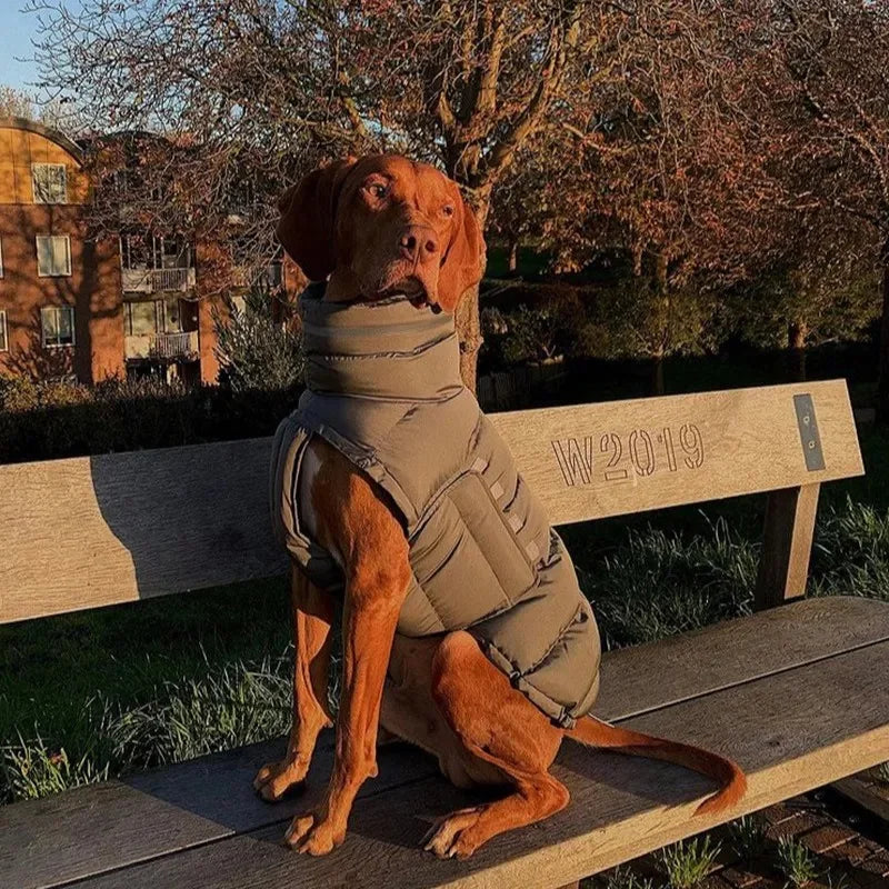 Waterproof & Warm Winter Jacket for Dogs & Cats - Insulated Down Vest